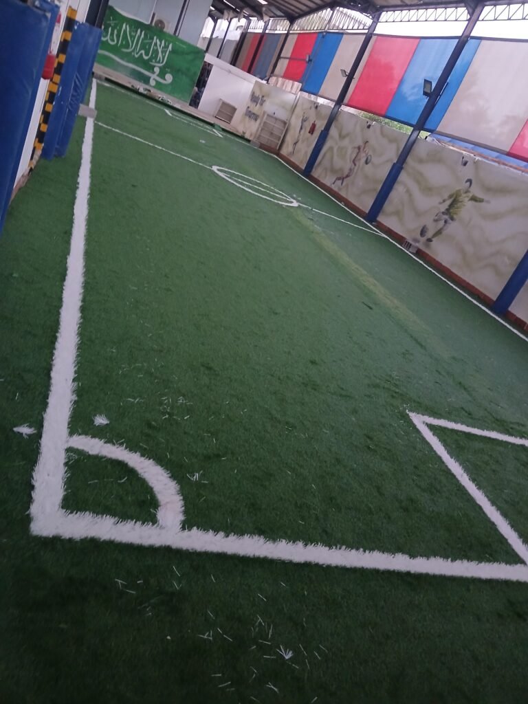 عشب صناعي ملعب درسه